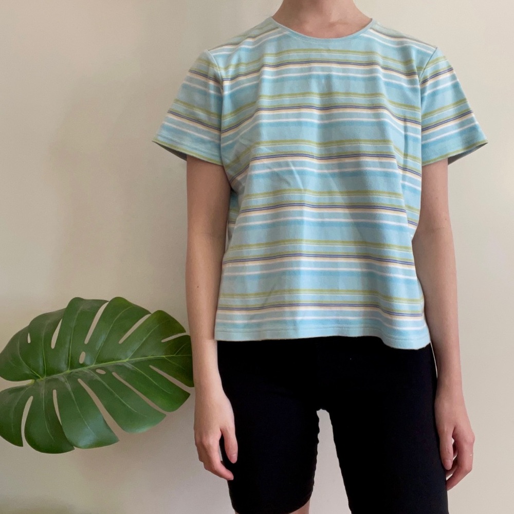 Blue and green striped cropped vintage t-shirt